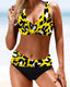 Earle | Colorful Bikini Swimsuit