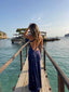 Avery | Sleek Backless Maxi Dress