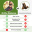 Ortho Balance | Orthopedic Pain-Relieving shoes (1+1 Free)