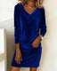 Sophia | Soft Velvet Long Sleeve Dress